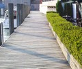 boardwalk along black river