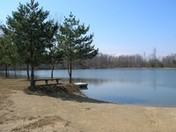 Moose campground lake